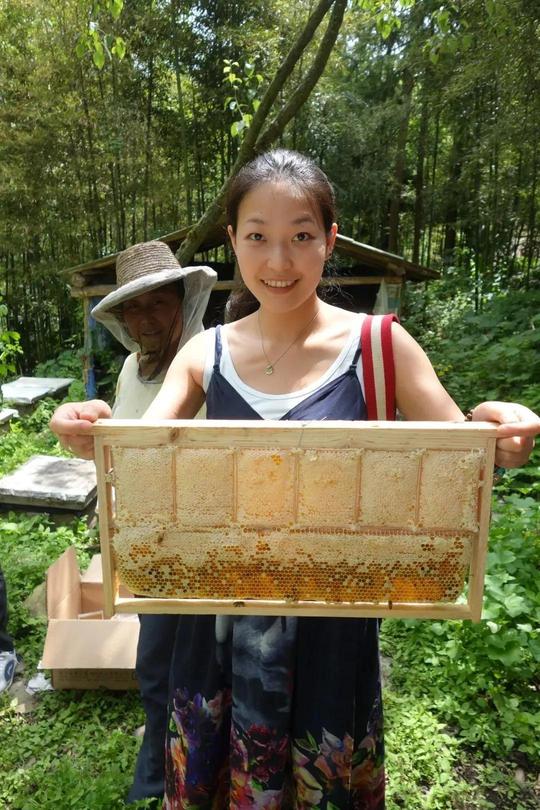 我看青川多妩媚，料青川看我应如是：3个女孩的乡村创业故事