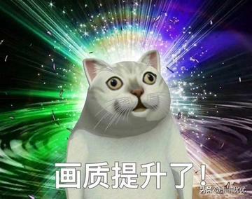  神经病猫搞笑QQ幽默表情包