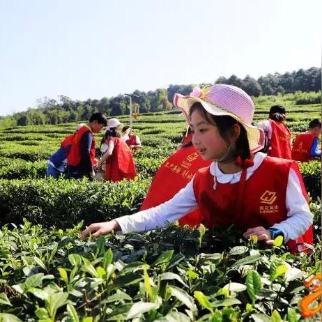 铜梁大庙有什么景点