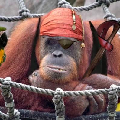 足球运动员为什么不打架的长尾关键词有什么