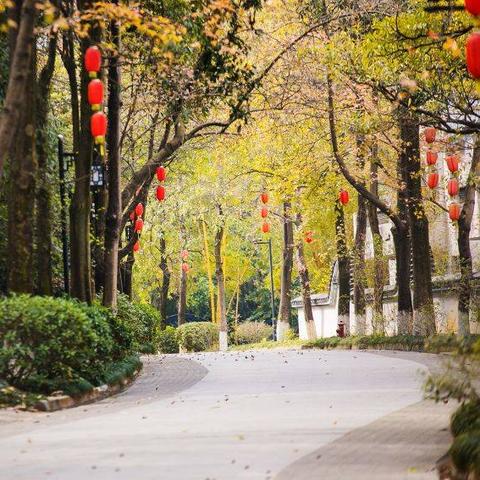 [苏州人抽什么烟]相关长尾关键词有哪些