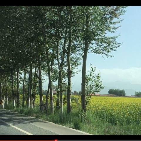 新疆离哈尔滨市多少公里