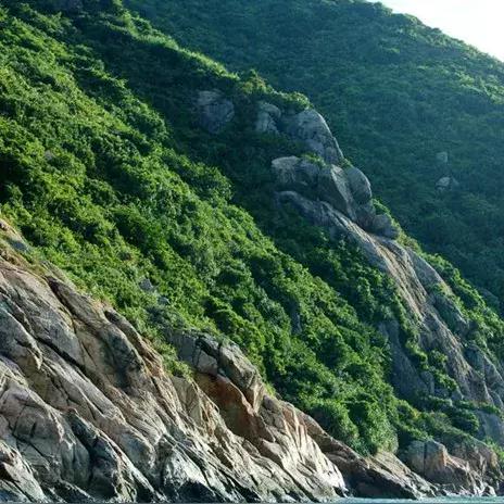 广东佛山市南海区沉船湾的长尾关键词有哪些