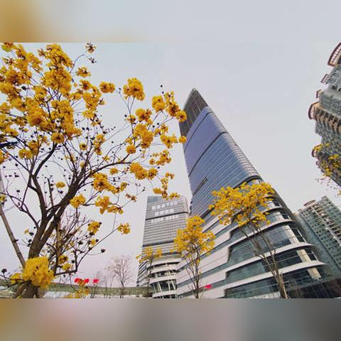 【广州未来15天天气预报】广州未来15天气情况查询