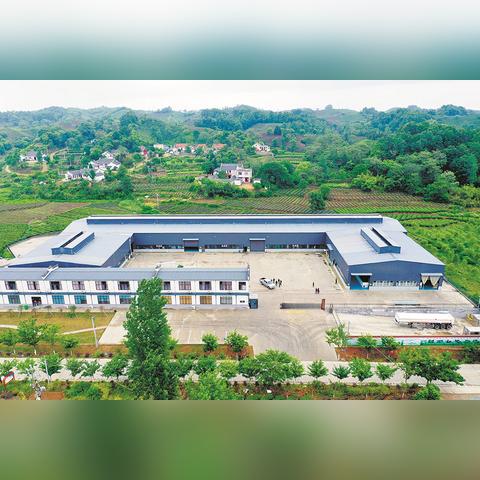 信阳工业城有哪些厂？