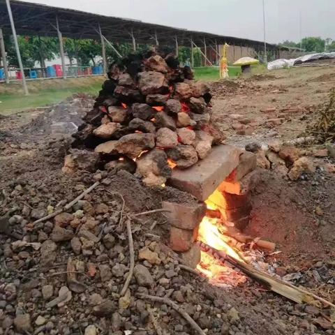 佛山市农场农庄在哪里办公