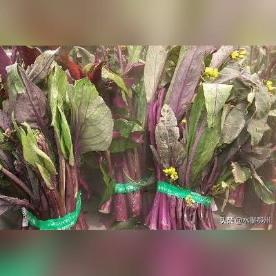 武汉话老菜苔的相关长尾关键词有哪些