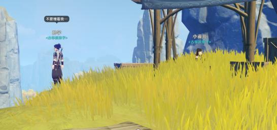 原神谈吐礼仪怎么过（原神少女哥伦比娅为什么戴着眼罩）