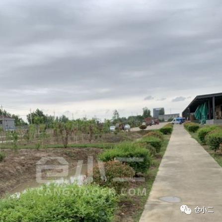 跨境二类电商平台出租 衍生的长尾关键词有哪些 