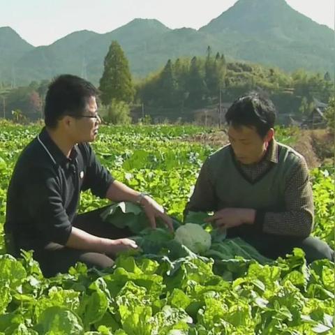 怎么可以上泉州市党校