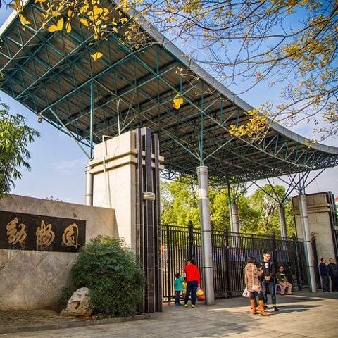武汉市动物园叫什么
