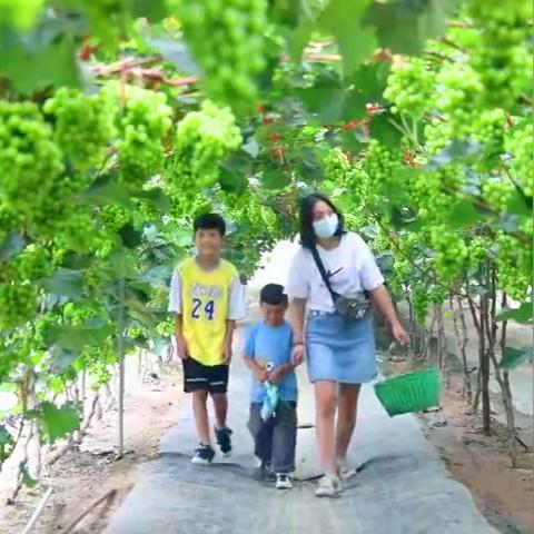 临沂市兰陵县是哪里啊