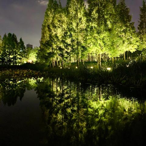 关于上海后滩湿地公园相关关键词有哪些