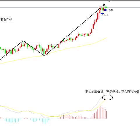 k黄金之王什么能力
