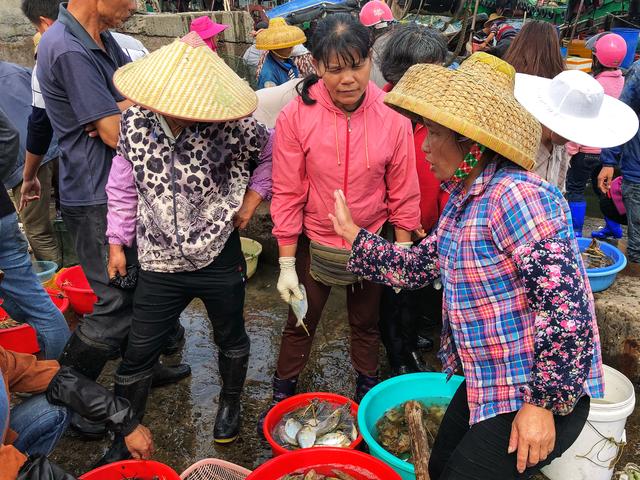 海鲜价格为什么差异这么大