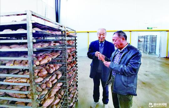 夏津人在河北种红薯，年赚1.2亿，产品卖到全国