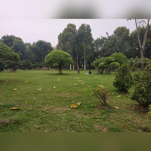 介绍南宁市绿城的五句话？