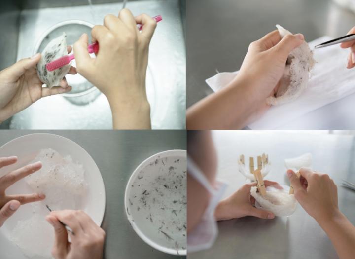 燕窝能做成什么美食（燕窝和鸡精怎么搭配吃）