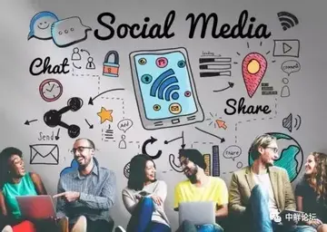 社交电商平台费用 社交电商有哪些平台