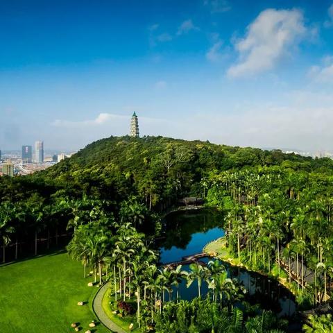 南宁市最繁华的是哪个区