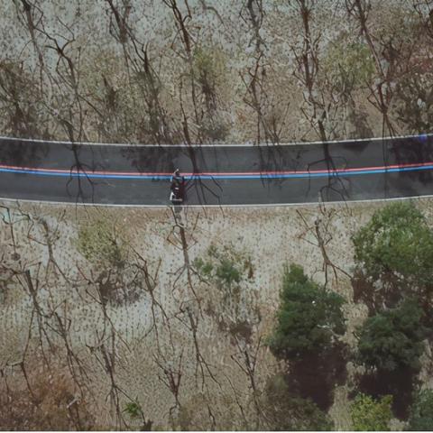 上海奢侈食物有哪些