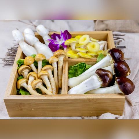 成都市哪里有菌渣卖