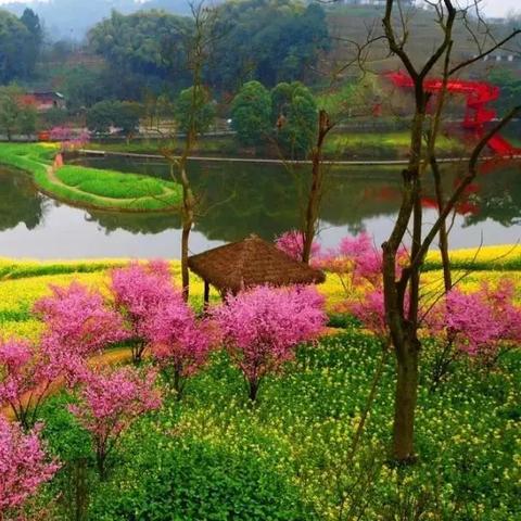 重庆车载云导航怎么样的