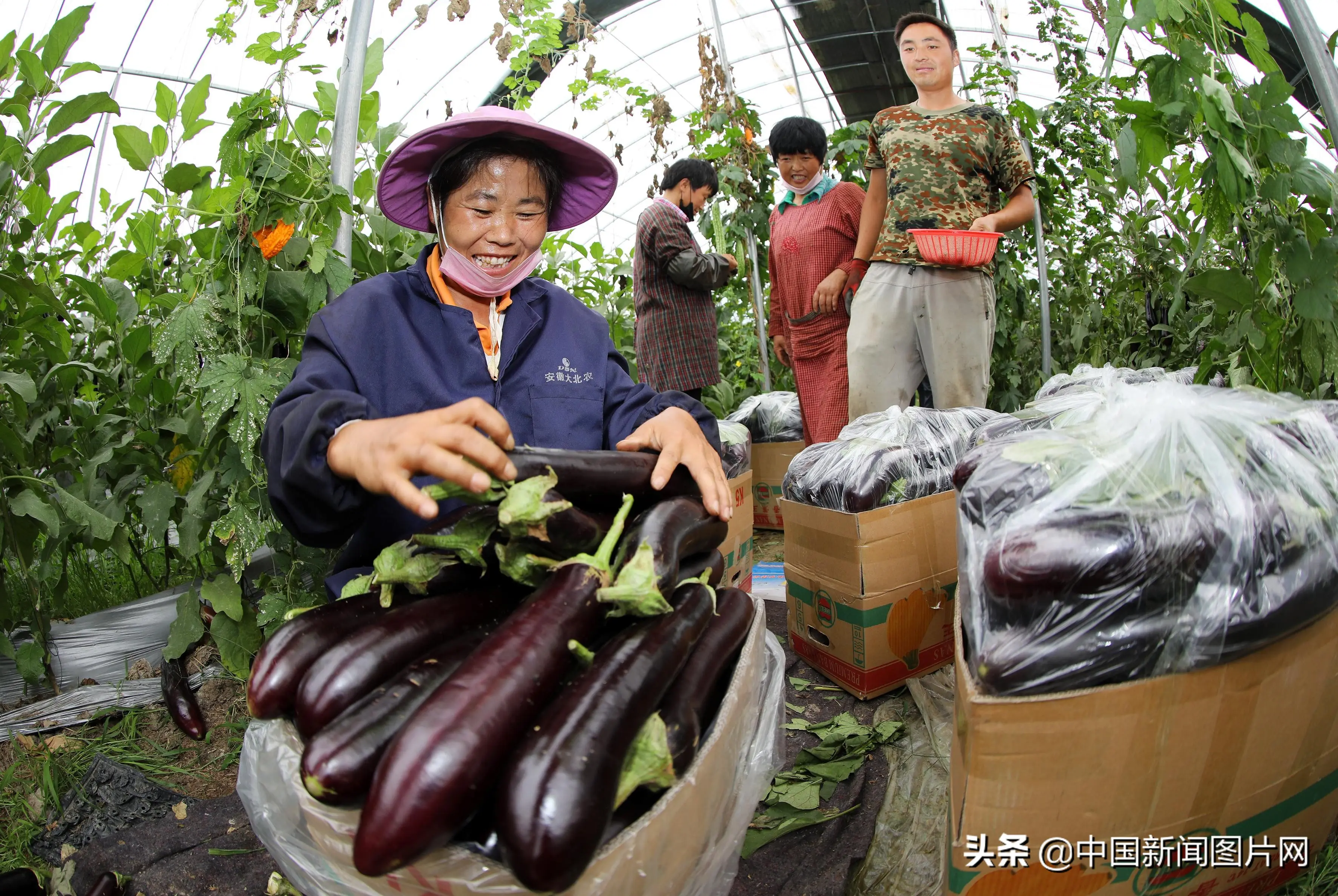 预计负债影响利润吗 快手预计未来利润怎么算