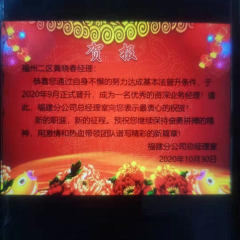 福建有什么政府保险公司