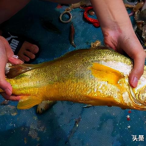 宁波市靠近什么海域