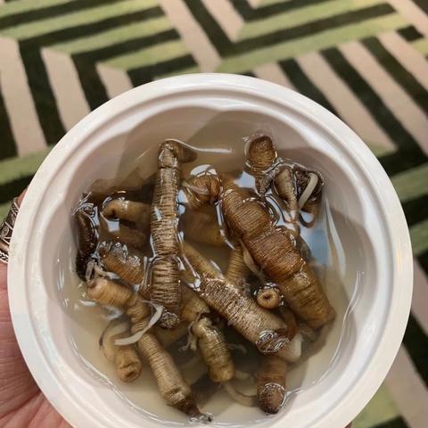 湛江到厦门火车的相关长尾关键词有哪些