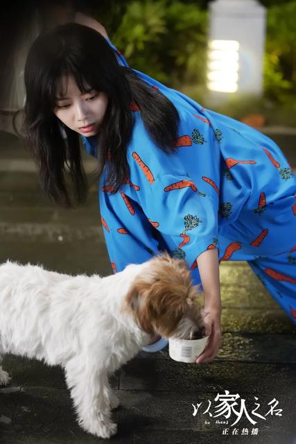 《以家人之名》追剧日历