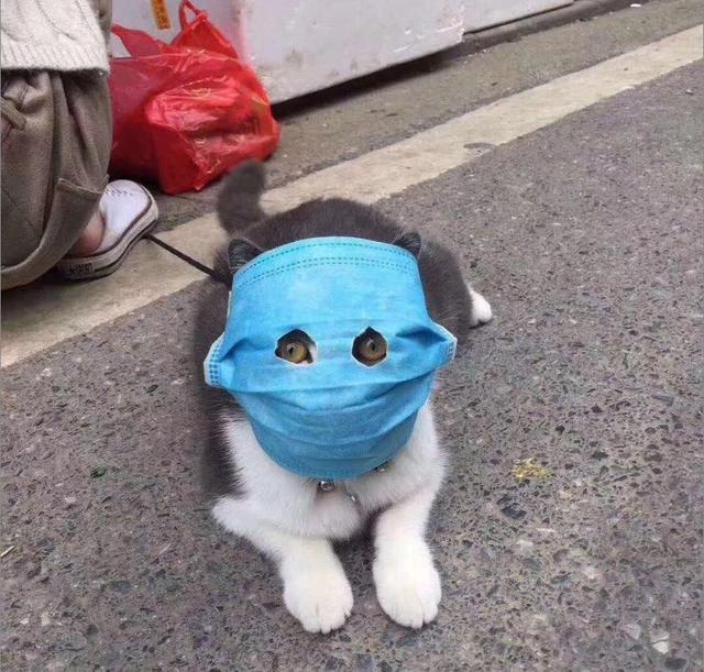 宝宝不喜欢戴口罩怎么办