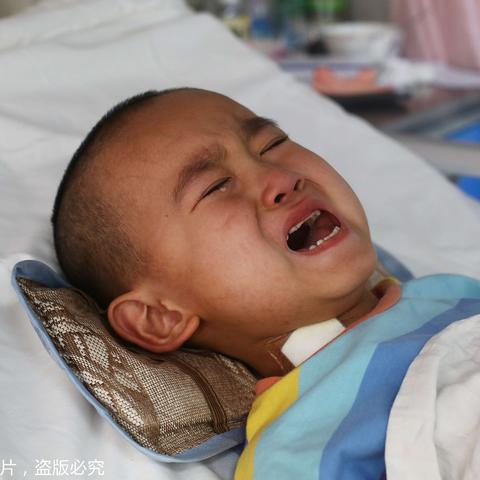 哈尔滨市哪个宠物医院好