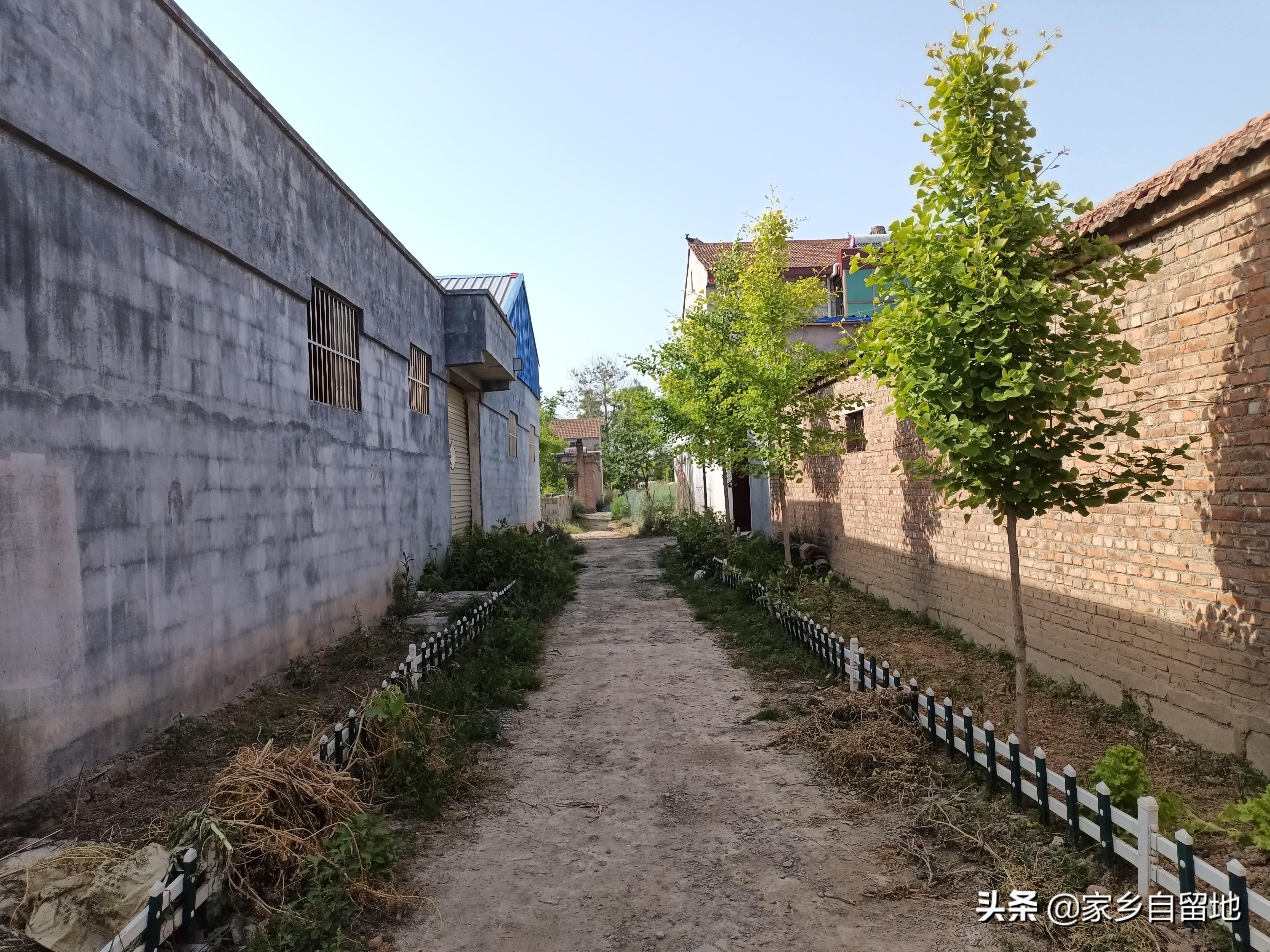 女宝宝起名姓仇怎么取(大家可以分享一些贯口的词吗)