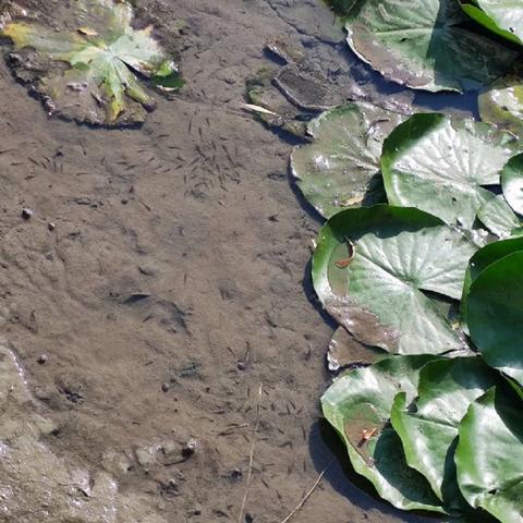 河南的渔具怎么样