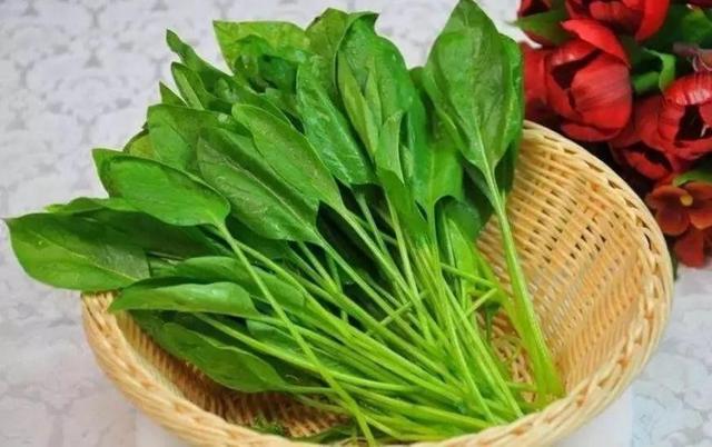 摆脱贫血就吃这三款美食