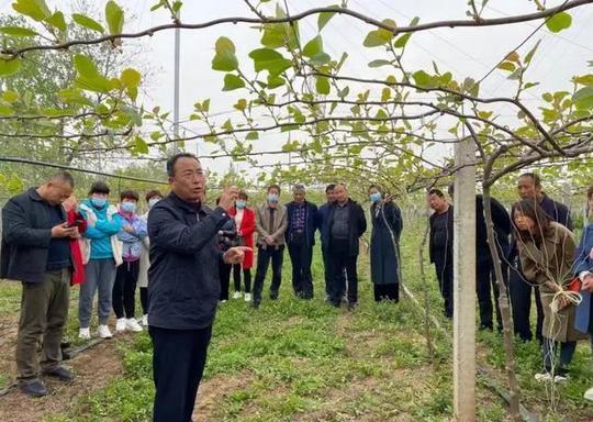 专家：农业品牌顺应数字化发展趋势；叮咚买菜完成3.3亿美元融资