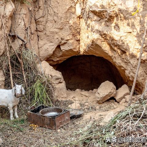 外地返回河南需要什么