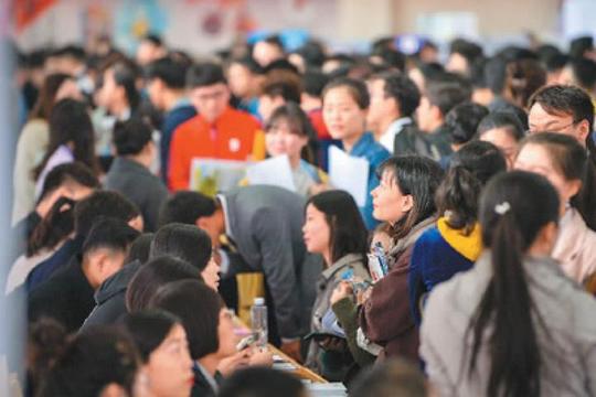 冷门专业本科毕业，就业难，行业被市场淘汰，该何去何从
