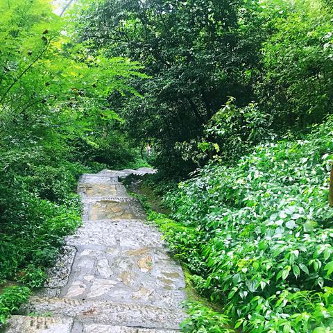 湖南长沙最大的山？