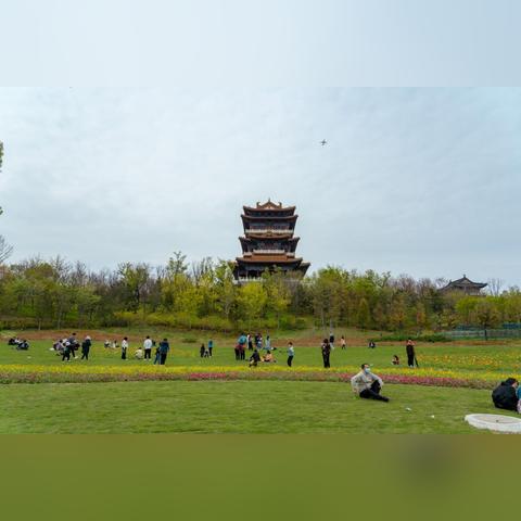 园博园景区可以租婴儿推车吗？