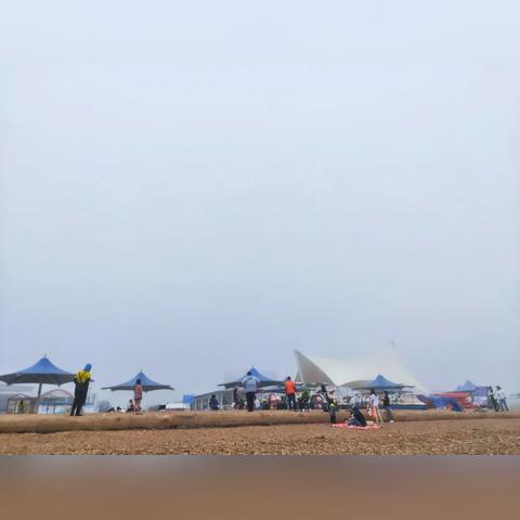 大连市海岸产什么石头