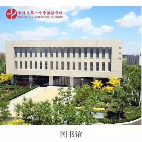 天津滨海的中学怎么样啊