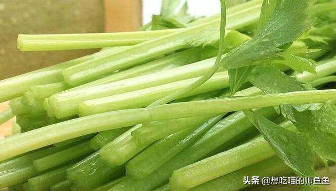 泰安传统美食是什么（山东都有什么地方特色美食）