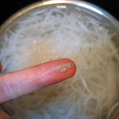 济南和济南西哪个好相关长尾关键词有哪些