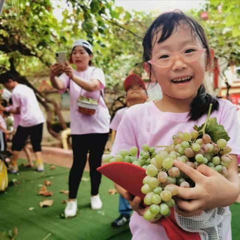 河南气候种什么葡萄最好