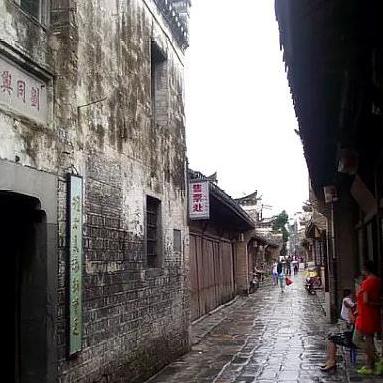 合肥植被变化相关长尾关键词有哪些