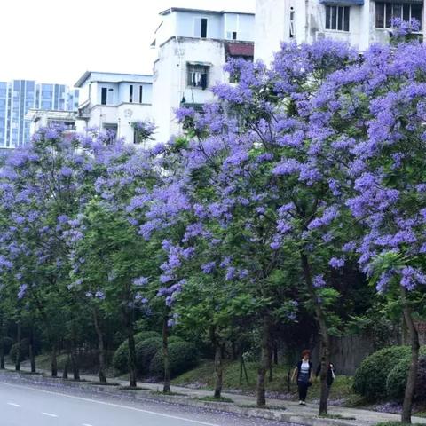 成都市地铁十七号线站点的长尾关键词有什么