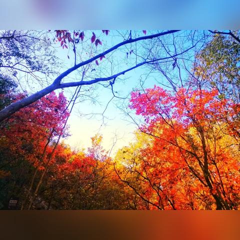 西峡太平镇天气的长尾关键词有什么